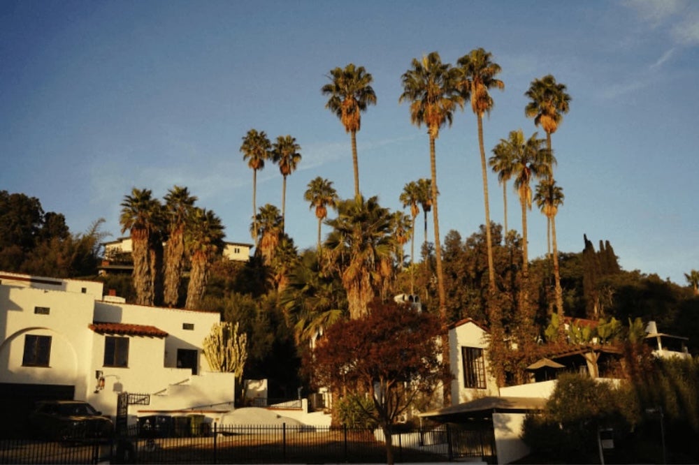 An image of a few houses and palm trees