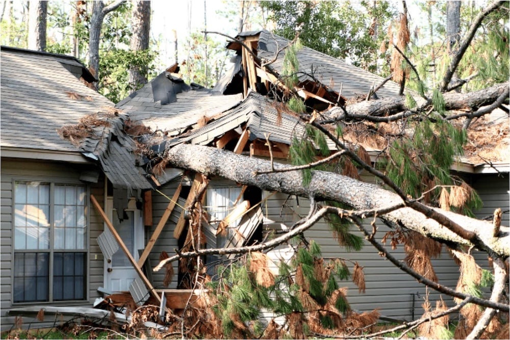 An image of a house destroyed by a fallen tree