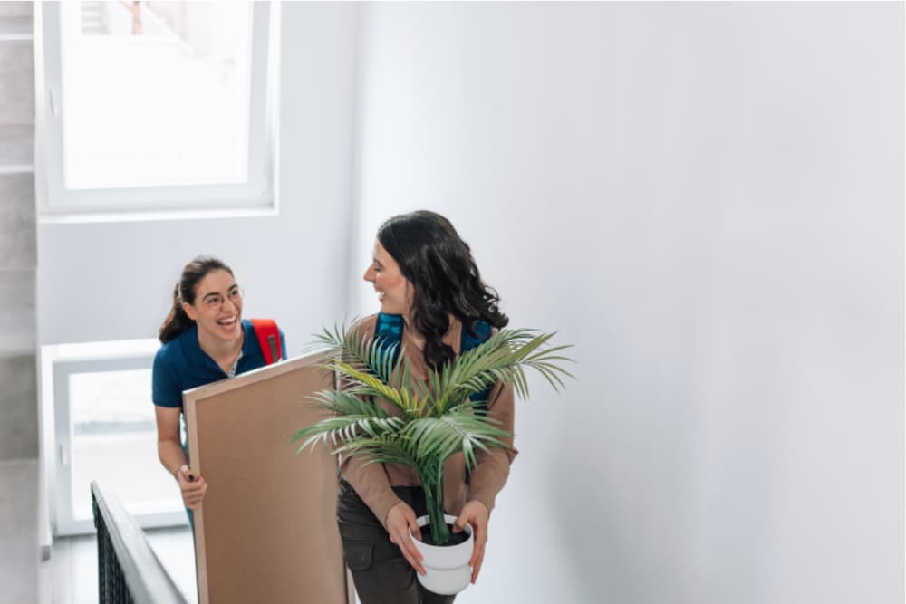 Two roommates walking upstairs carrying a plant and picture