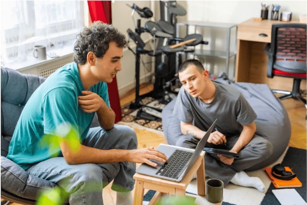Two roommates working in a living room