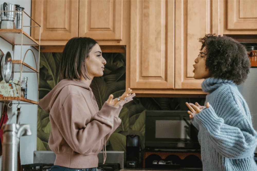An image of two housemates conversing